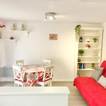 Lisela Cosy Meuble 3 Etoiles A 250m Du Centre Touristique, A Cote De La Route Des Vins 科尔马