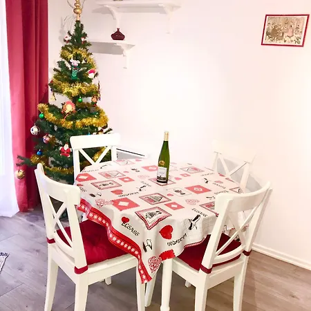 Lisela Cosy Meuble 3 Etoiles A 250m Du Centre Touristique, A Cote De La Route Des Vins 公寓 科尔马