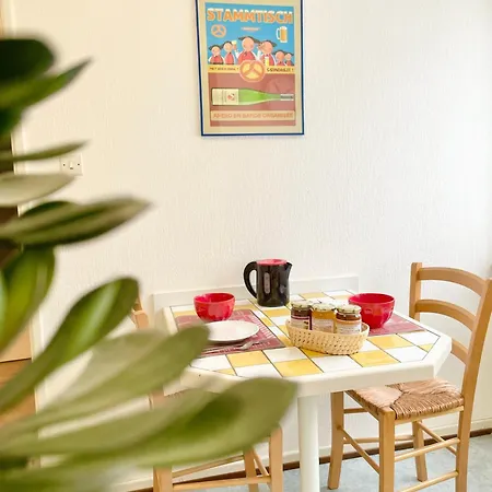 Lisela Cosy Meuble 3 Etoiles A 250m Du Centre Touristique, A Cote De La Route Des Vins * 科尔马