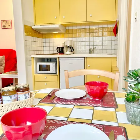 Lisela Cosy Meuble 3 Etoiles A 250m Du Centre Touristique, A Cote De La Route Des Vins * 科尔马