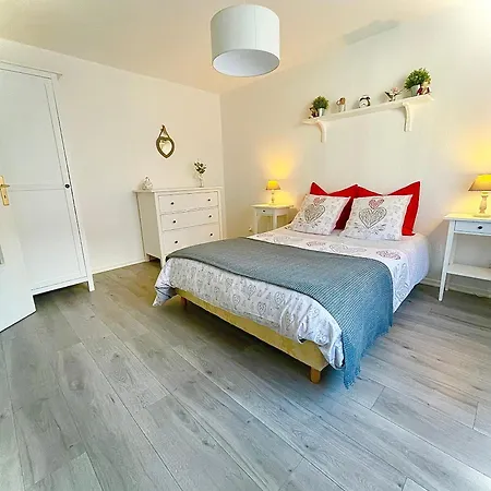Lisela Cosy Meuble 3 Etoiles A 250m Du Centre Touristique, A Cote De La Route Des Vins * 科尔马
