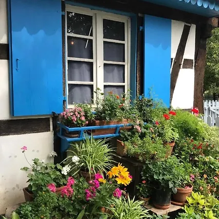 公寓 Lisela Cosy Meuble 3 Etoiles A 250m Du Centre Touristique, A Cote De La Route Des Vins *