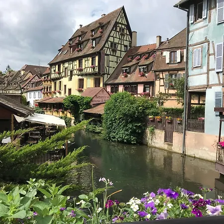 公寓 Lisela Cosy Meuble 3 Etoiles A 250m Du Centre Touristique, A Cote De La Route Des Vins *